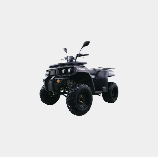 ATV rental Tulum - Dinamo 200cc